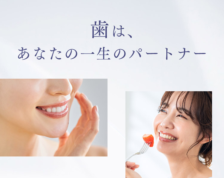歯は、あなたの一生のパートナー