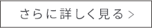 さらに詳しく見る