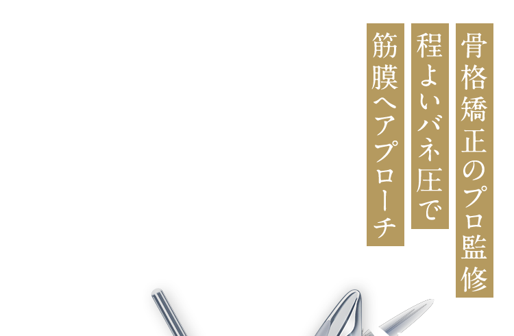 骨格矯正のプロ監修、適切なバネ圧で筋膜へアプローチ