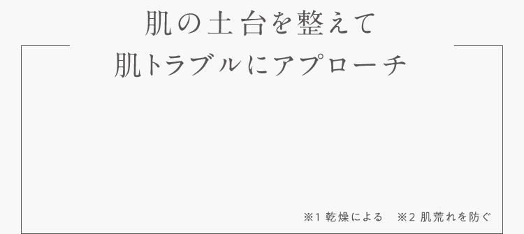 肌の土台を整えて肌トラブルにアプローチ ※1乾燥による ※2肌荒れを防ぐ