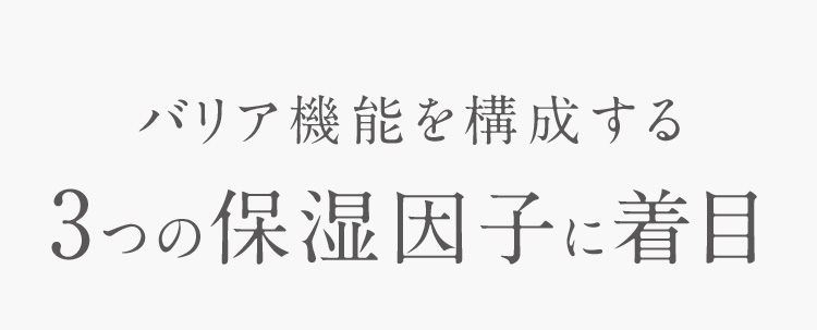 バリア機能を構成する3つの保湿因子に着目