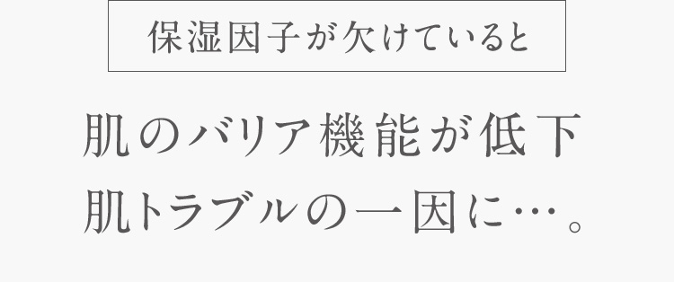 保湿因子が欠けていると 肌バリア機能が低下 肌トラブルの一因に…。