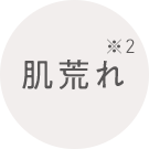 肌荒れ※2