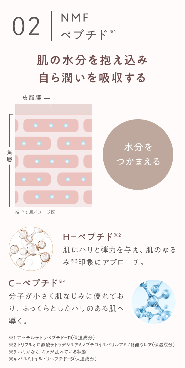02 NMFペプチド※1 肌の水分を抱え込み自ら潤いを吸収する 皮脂膜 角層 水分をつかまえる ※全て肌イメージ図 H−ペプチド※2肌にハリと弾力を与え、肌のゆるみ※3印象にアプローチ。 C−ペプチド※4分子が小さく肌なじみに優れており、ふっくらとしたハリのある肌へ導く。 ※1 アセチルテトラペプチド－１１（保湿成分） ※2 トリフルオロ酢酸テトラデシルアミノブチロイルバリルアミノ酪酸ウレア（保湿成分） ※3 ハリがなく、キメが乱れている状態 ※4 パルミトイルトリペプチド－５（保湿成分）