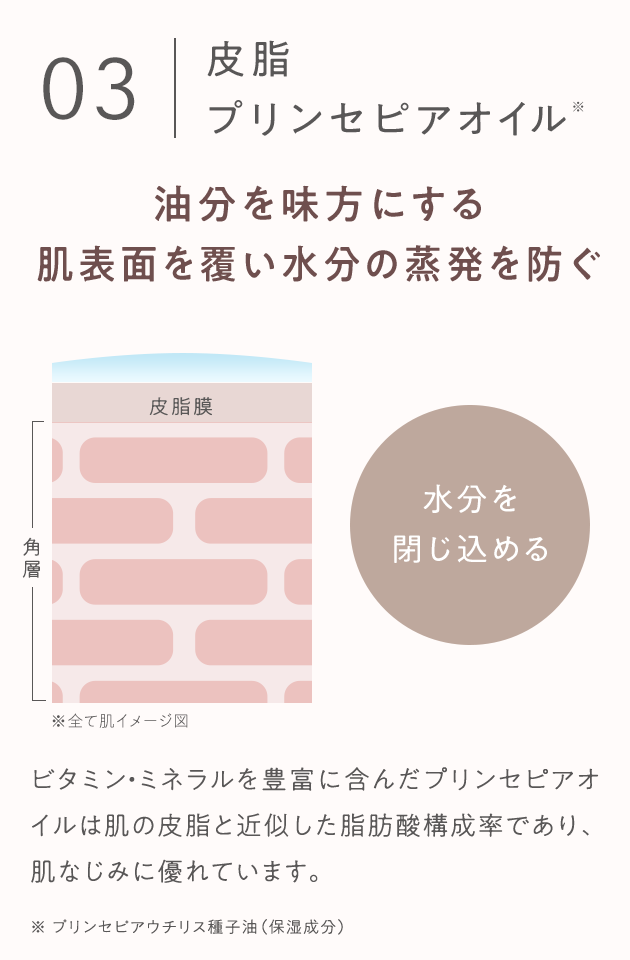 03 皮脂プリンセピアオイル※ 油分を味方にする 肌表面を覆い水分の蒸発を防ぐ 皮脂膜 角層 水分を閉じ込める ※全て肌イメージ図 ビタミン・ミネラルを豊富に含んだプリンセピアオイルは肌の皮脂と近似した脂肪酸構成率であり、肌なじみに優れています。 ※プリンセピアウチリス種子油(保湿成分)