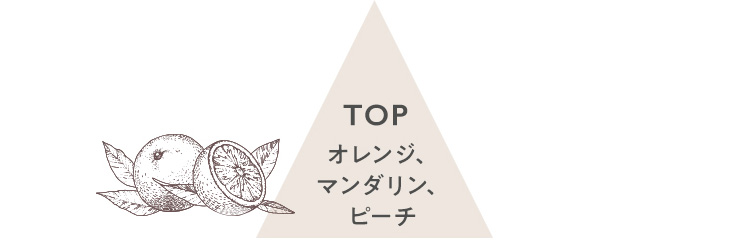 TOP オレンジ、マンダリン、ピーチ