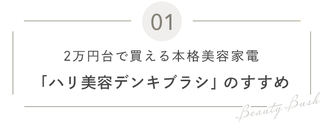 01 2万円台で買える本格美容家電「ハリ美容デンキブラシ」のすすめ