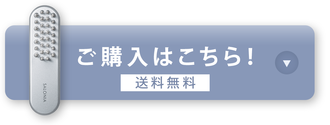 画像の説明