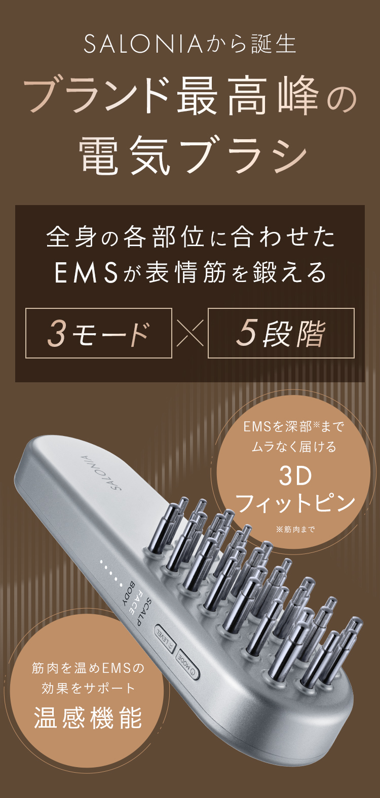 EMSリフトブラシ