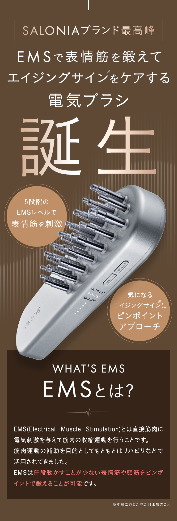 EMSリフトブラシ