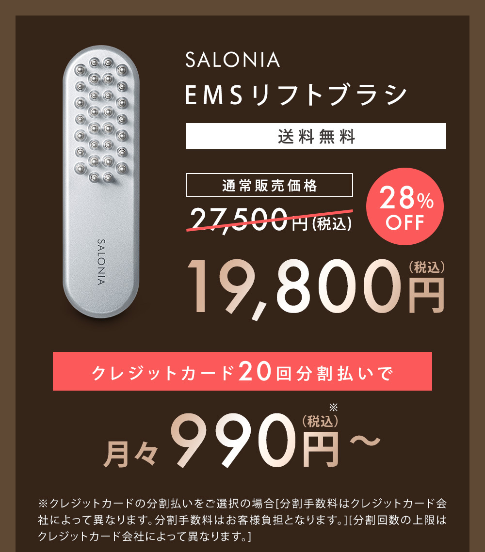 EMSリフトブラシ