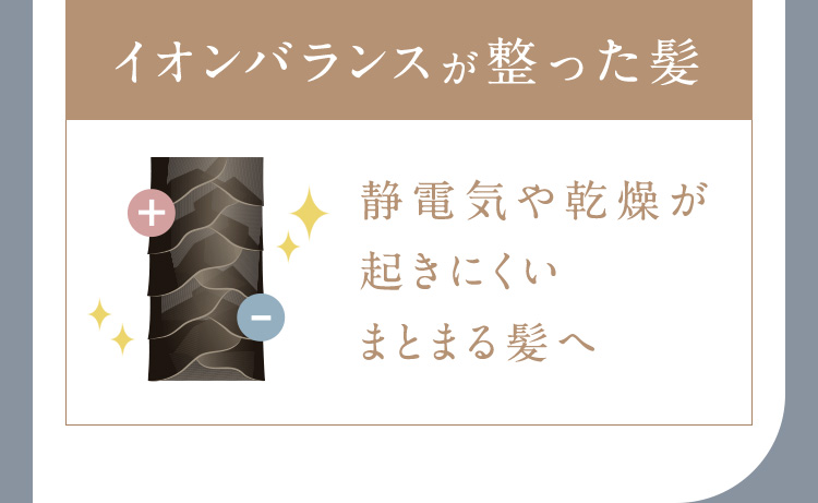 イオンバランスが整った髪