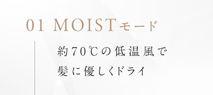 01 MOISTモード