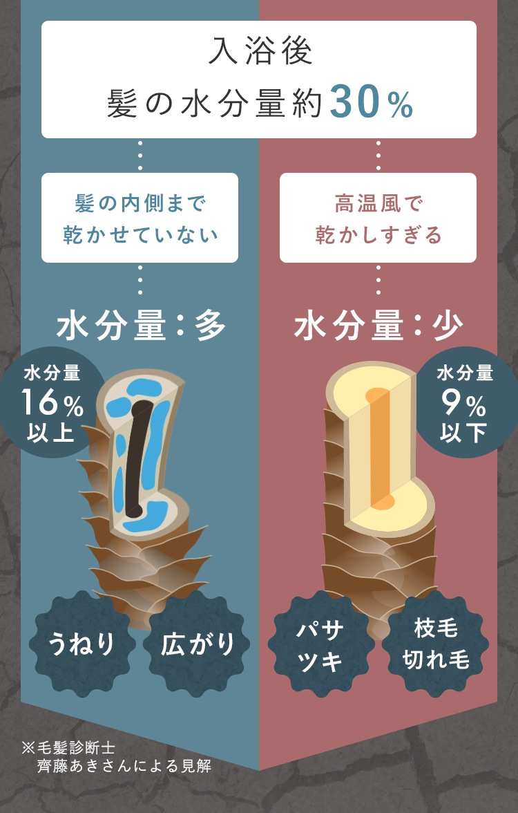 水分量の図