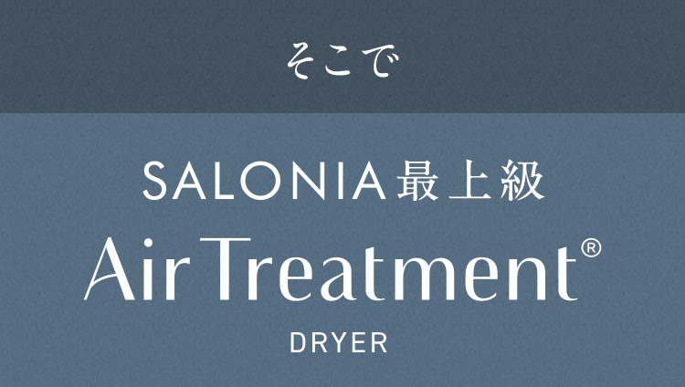 そこで SALONIA最上級 Air Treatoment　DRYER