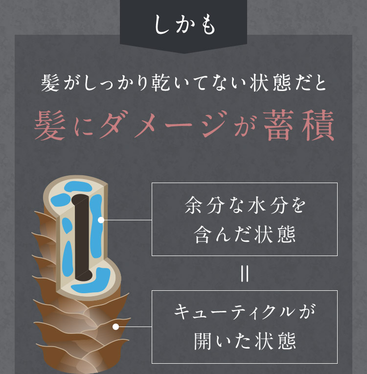 しかも 髪がしっかり乾いてない状態だと髪にダメージが蓄積