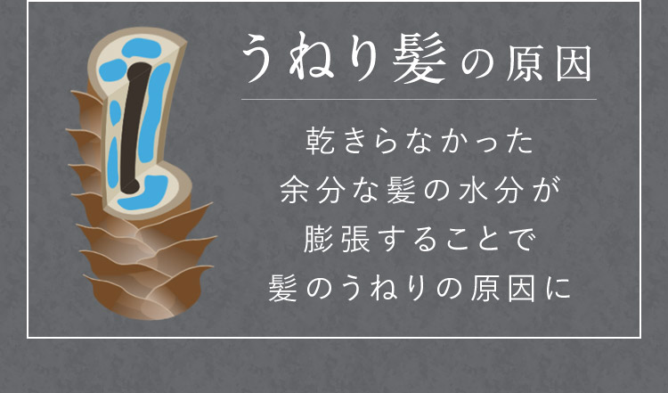 うねり髪の原因