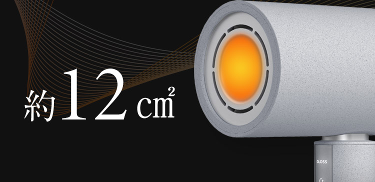 約12cm2