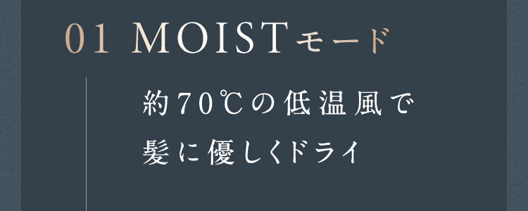 01 MOISTモード