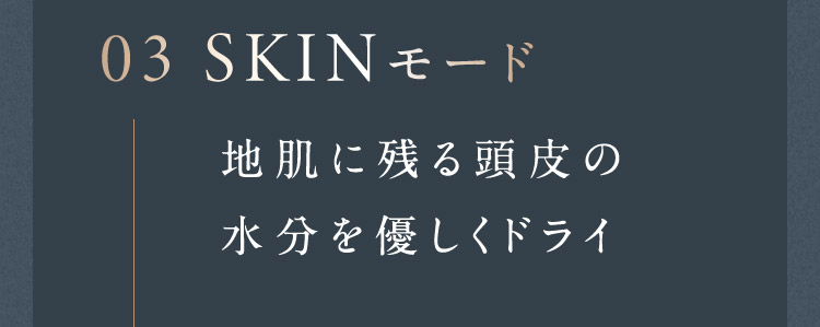 03 SKINモード