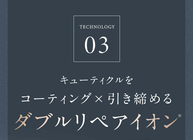 TECHNOLOGY03 ダブルリペアイオン