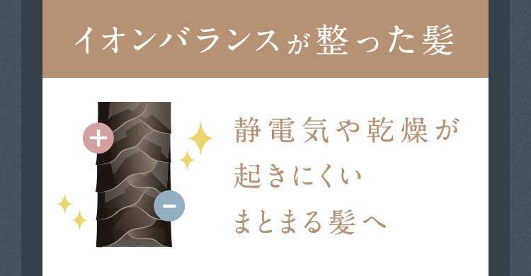 イオンバランスが整った髪