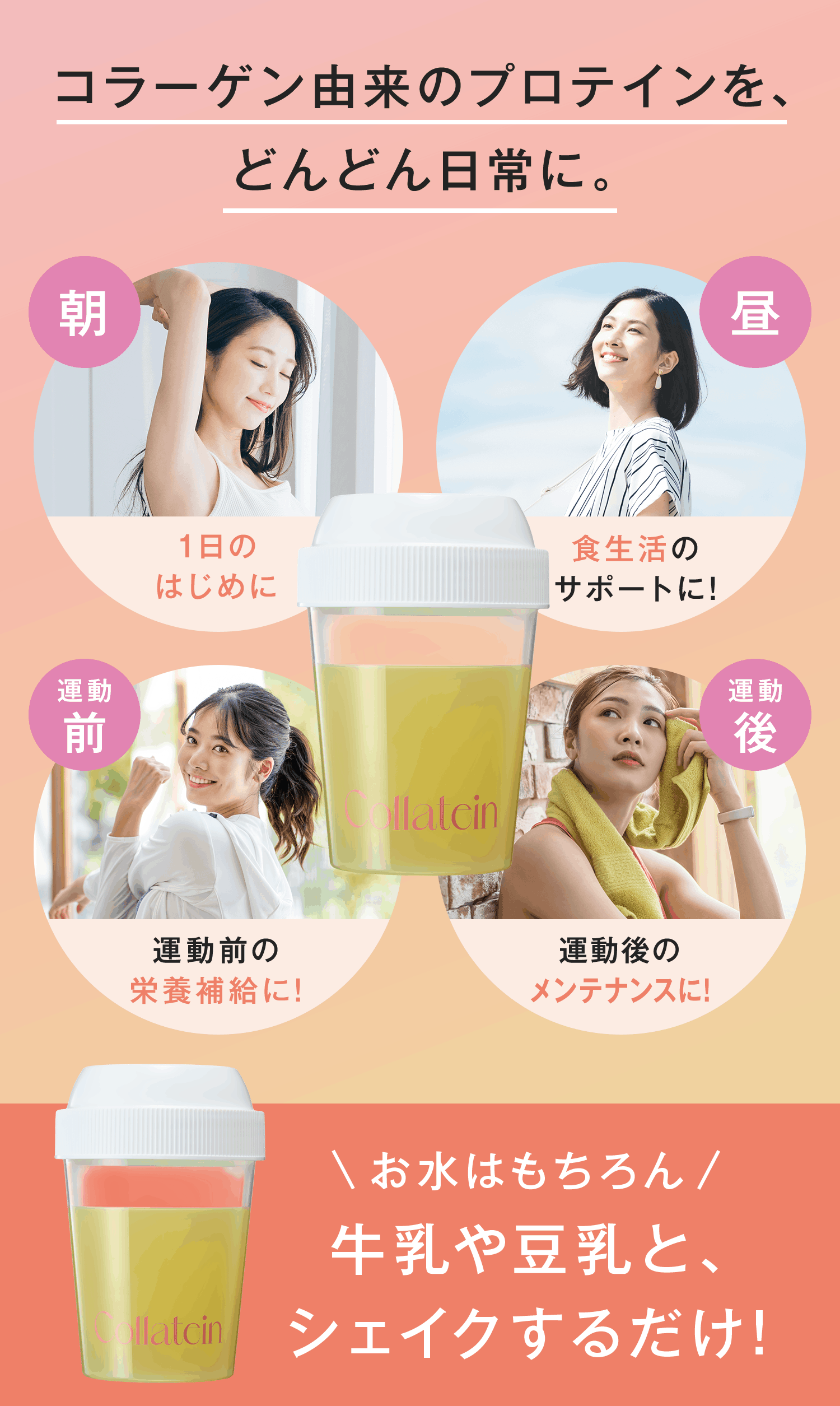 しなやかさも、動きやすい体も、それを支えるタンパク質。