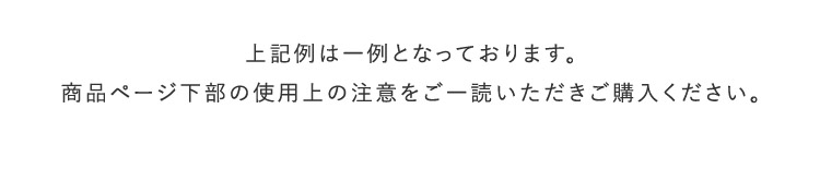 上記例は一例となっております。商品ページ下部の使用上のご注意をご一読いただきご購入下さい。