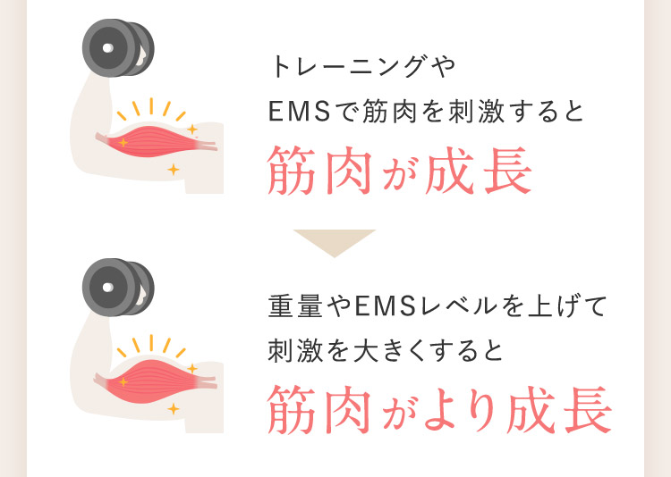 トレーニングやEMSで筋肉を刺激すると筋肉が成長 重量やEMSレベルを上げて刺激を大きくすると筋肉がより成長