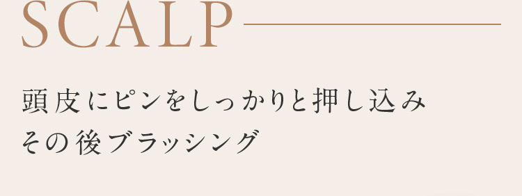 SCALP 頭皮にピンをしっかりと押し込みその後ブラッシング