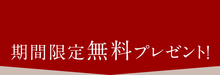 期間限定無料プレゼント！