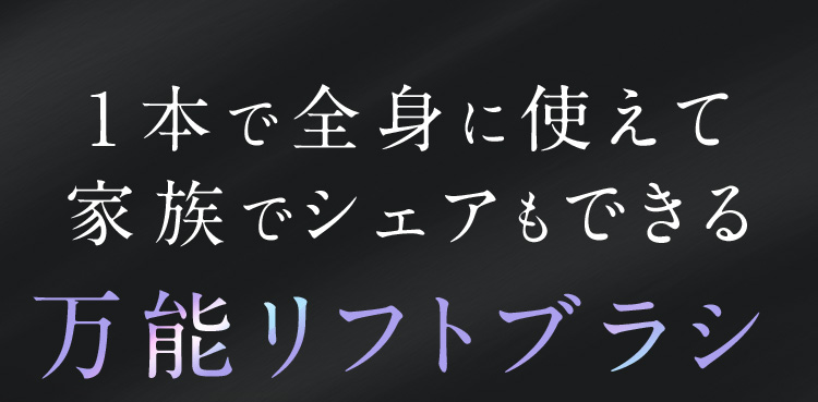 SALONIA EMS LIFT BRUSH 3D CARE