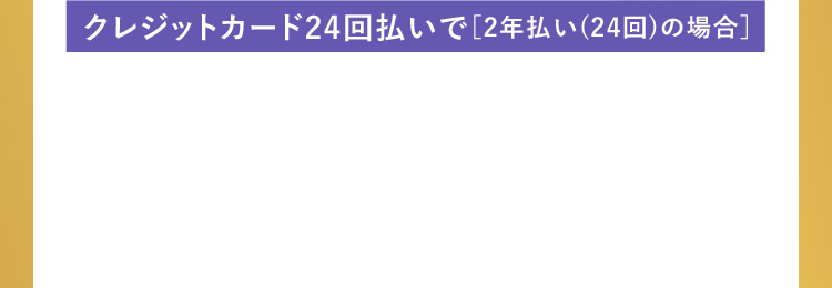 クレジットカード24回払いで
