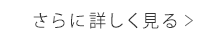 さらに詳しく見る