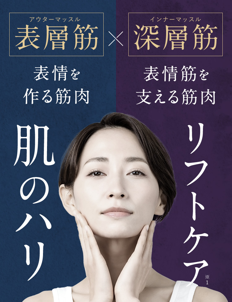 表層筋×深層筋