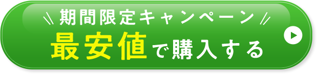 期間限定キャンペーン 最安値で購入する