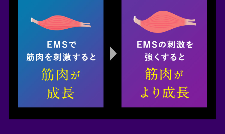 筋肉が成長