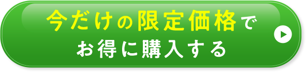 今だけの限定価格でお得に購入する
