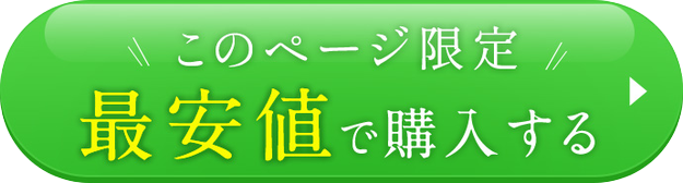 キャンペーンクーポンでお得に購入する