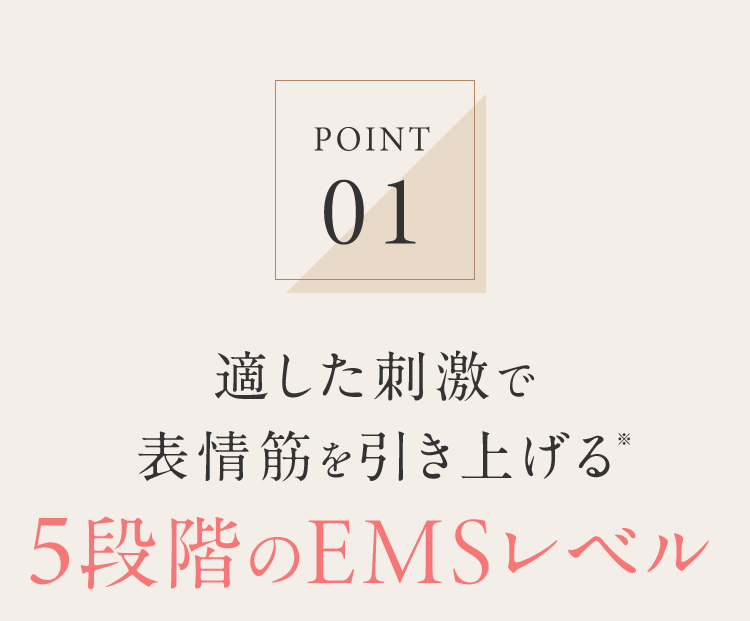 POINT01 5段階のEMSレベル
