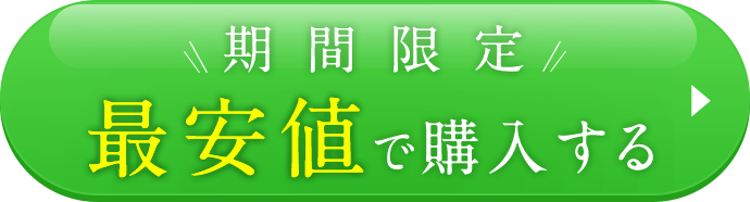 期間限定 最安値で購入する