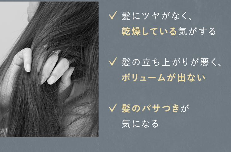 ✓髪にツヤがなく、乾燥している気がする✓髪の立ち上がりが悪く、ボリュームが出ない✓髪のパサつきが気になる