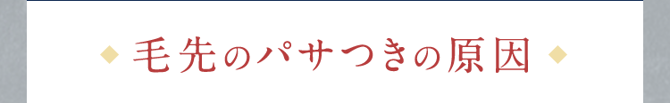 毛先のパサつきの原因