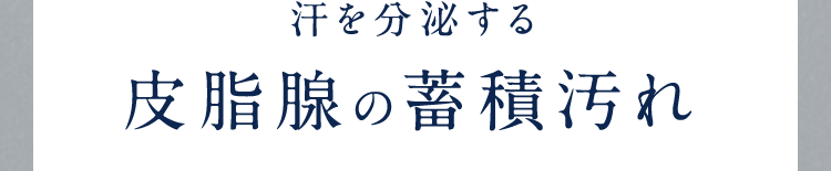 汗を分泌する皮脂腺の蓄積汚れ