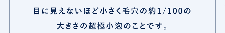 目に見えないほど小さく毛穴の約1/100の大きさの超極小泡のことです。