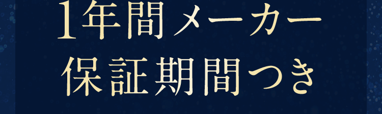 1年間メーカー保証期間つき