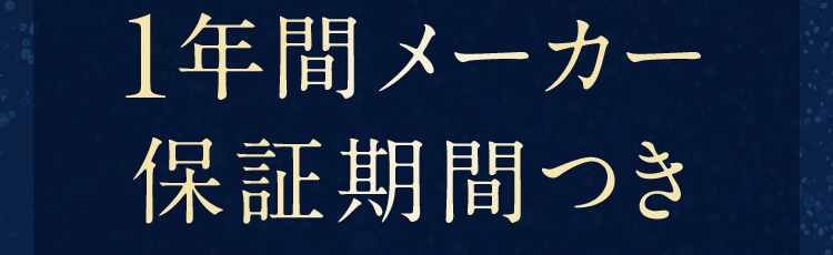 1年間メーカー保証期間つき