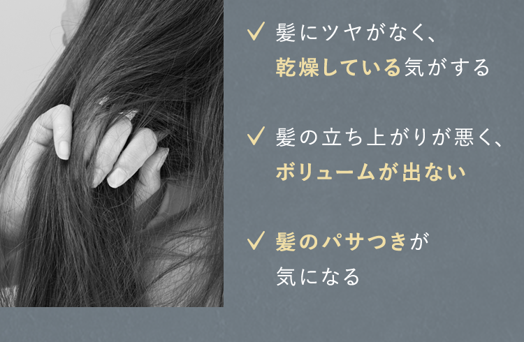 ✓髪にツヤがなく、乾燥している気がする✓髪の立ち上がりが悪く、ボリュームが出ない✓髪のパサつきが気になる