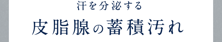 汗を分泌する皮脂腺の蓄積汚れ