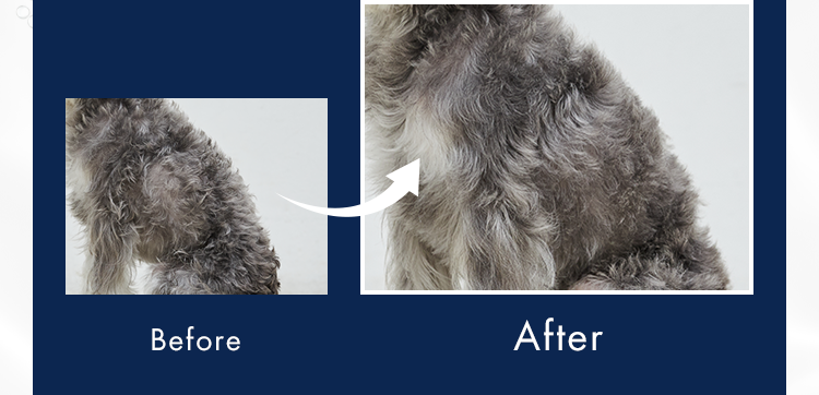 BeforeAfter